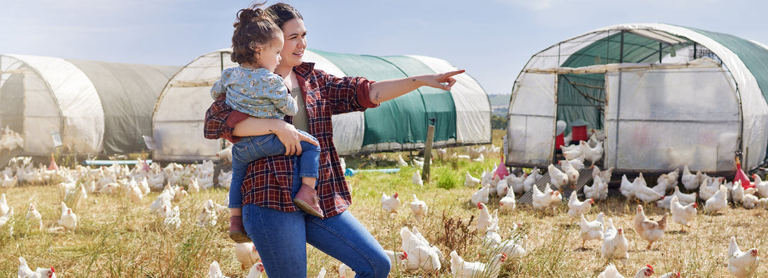 GooseAir Farm: A Legacy of Poultry and Family in the Heartland