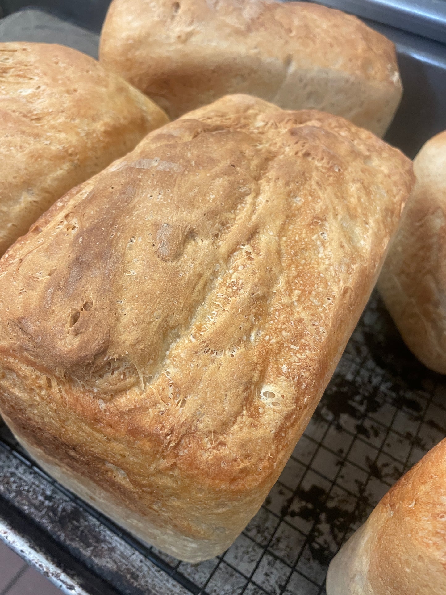 Fresh Baked Bread (Rose House)