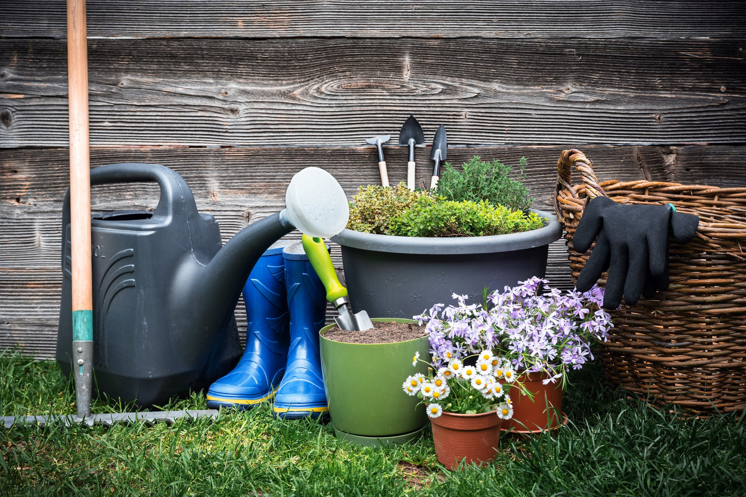 Home & Garden