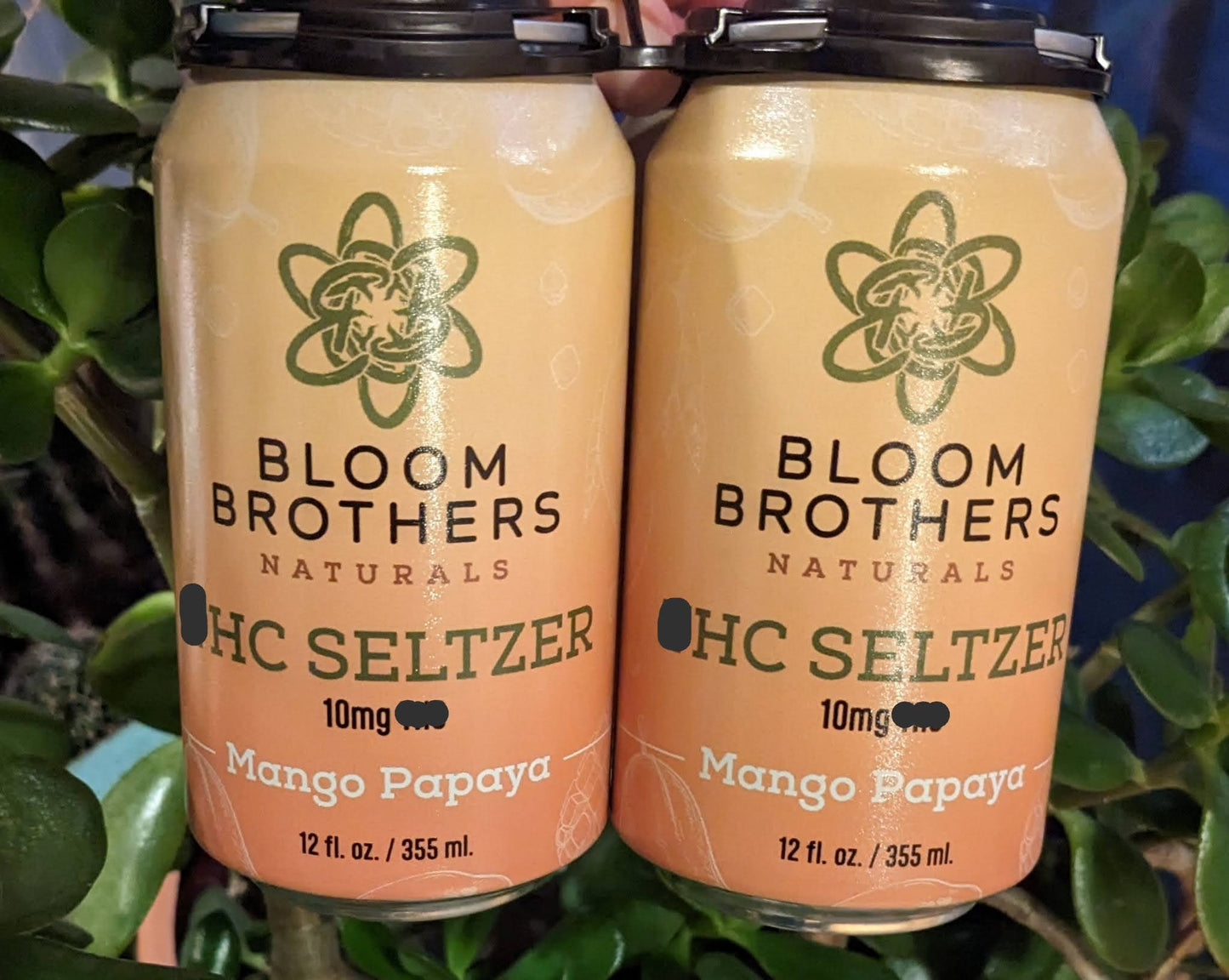 THC Seltzer (Bloom Brothers Naturals CBD)