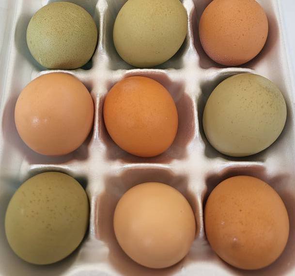 Eggs (Old 10 Farmyard)