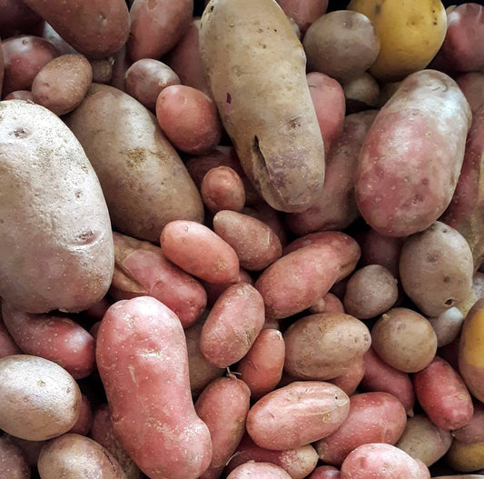 Potatoes (Liberation Farmers)